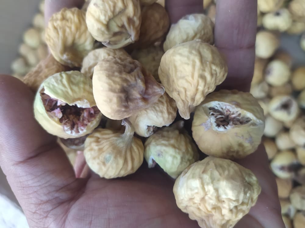 تصویر 1 از خرید انجیر آجیلی با بهترین قیمت و کیفیت + انجیر دهن باز